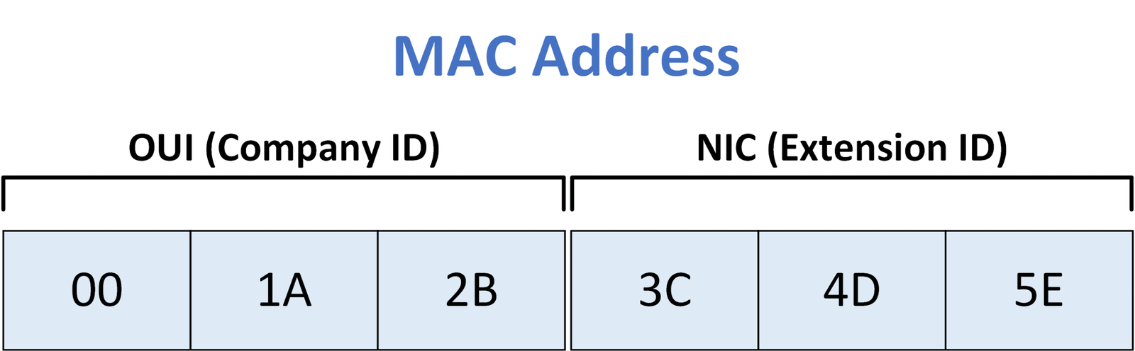 Illustration of a 48‑bit MAC address divided into a 24‑bit OUI (company identifier) and a 24‑bit NIC extension identifier.