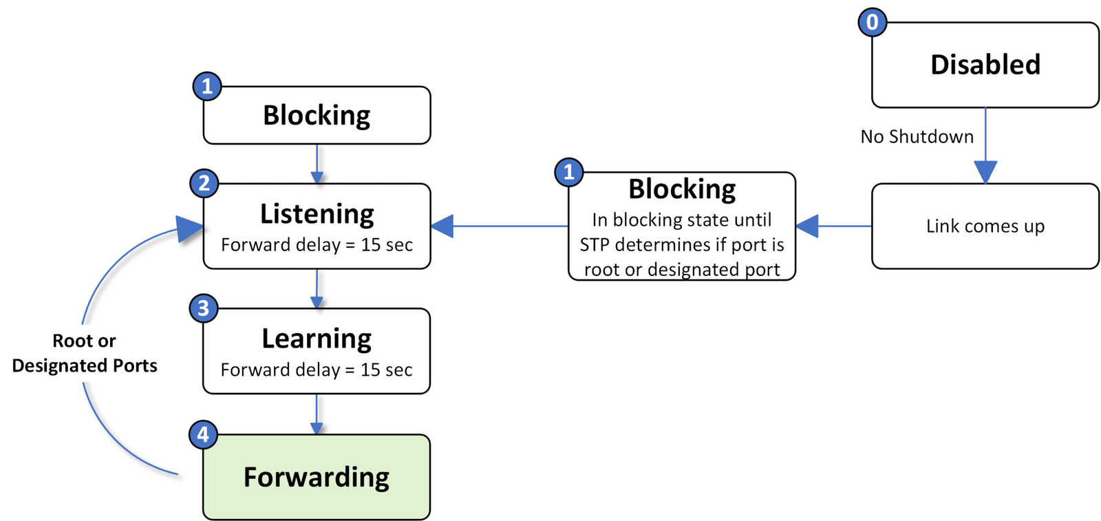 Spanning Tree Protocol Forwarding State scaled