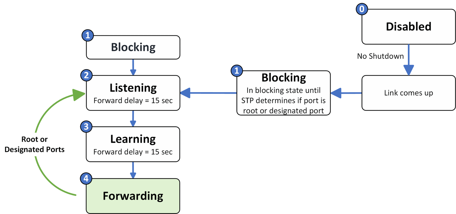Transition for Root and Designated Ports scaled